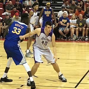 Ivica Zubac