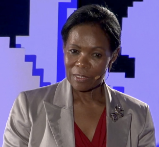 Yvonne Mokgoro Profile Picture