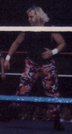 Barry Windham Profile Picture