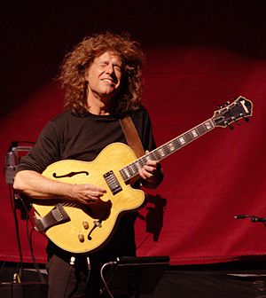 Pat Metheny Profile Picture