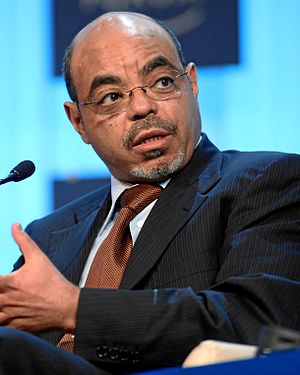 Meles Zenawi Profile Picture