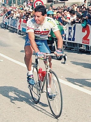 Stephen Roche