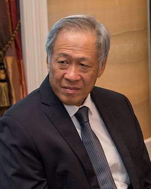 Ng Eng Hen Profile Picture