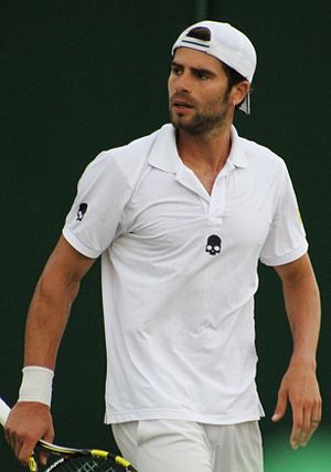 Simone Bolelli Profile Picture