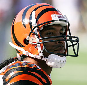 T. J. Houshmandzadeh Profile Picture