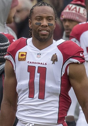 Larry Fitzgerald Profile Picture