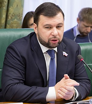 Denis Pushilin Profile Picture