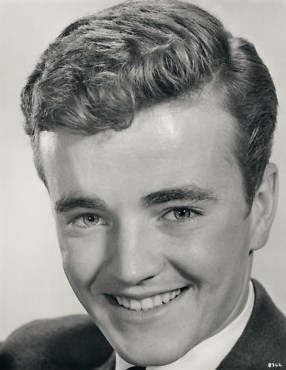 Robert Walker (actor, born 1940)