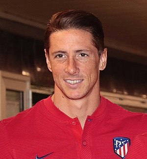 Fernando Torres Profile Picture