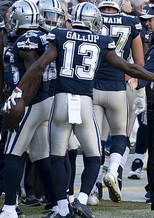 Michael Gallup