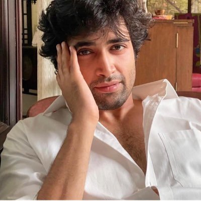 Adivi Sesh Profile Picture