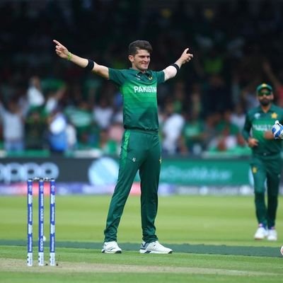 Shaheen Afridi Profile Picture