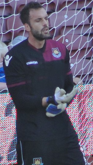 Manuel Almunia Profile Picture