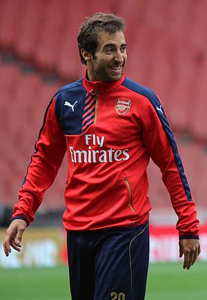 Mathieu Flamini