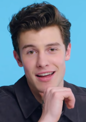 Shawn Mendes Profile Picture