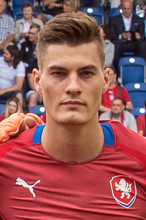 Patrik Schick Profile Picture