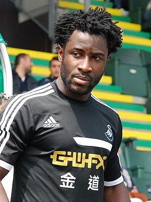 Wilfried Bony Profile Picture