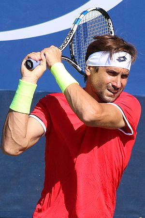 David Ferrer Profile Picture