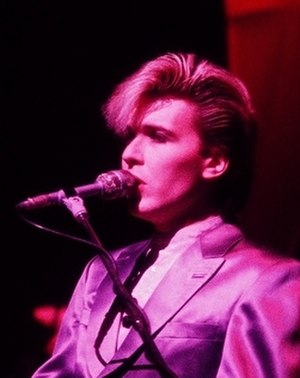 David Sylvian Profile Picture