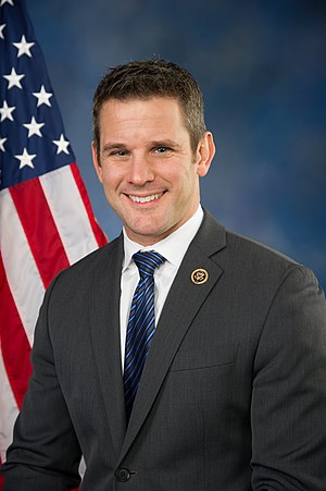 Adam Kinzinger Profile Picture