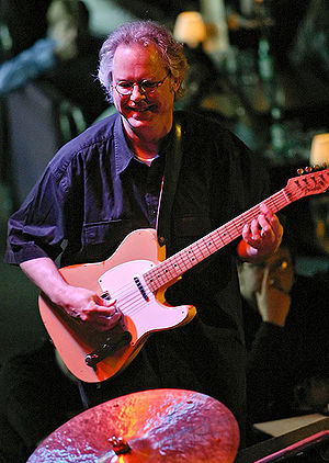 Bill Frisell Profile Picture