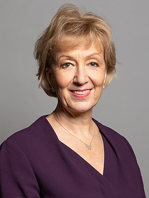 Andrea Leadsom Profile Picture