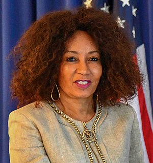 Lindiwe Sisulu Profile Picture