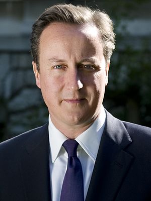 David Cameron Profile Picture