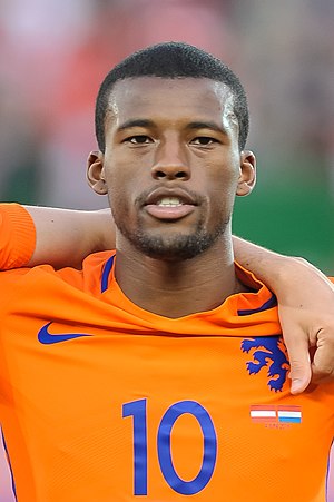 Georginio Wijnaldum Profile Picture