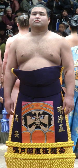 Takayasu Akira