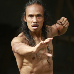 Yayan Ruhian Profile Picture