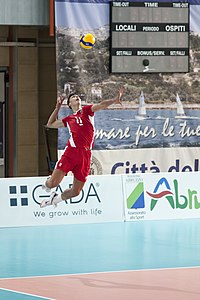 Aleksandar Nikolov (volleyball)