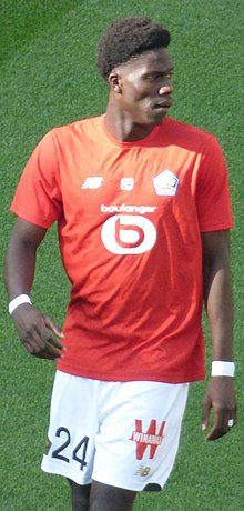 Amadou Onana Profile Picture