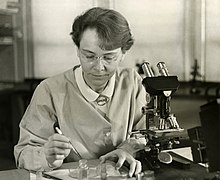 Barbara McClintock Profile Picture