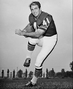 Brian Piccolo Profile Picture