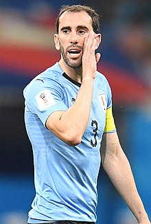 Diego Godín Profile Picture