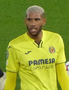 Étienne Capoue Profile Picture