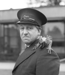 Johnny Morris (television presenter)