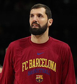 Nikola Mirotić Profile Picture