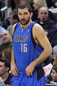 Peja Stojaković Profile Picture