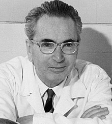 Viktor Frankl Profile Picture