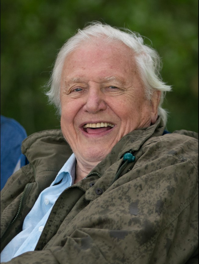 Jane Attenborough Profile Picture