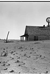 Dorothea Lange Profile Picture