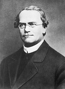 George Mendel Profile Picture