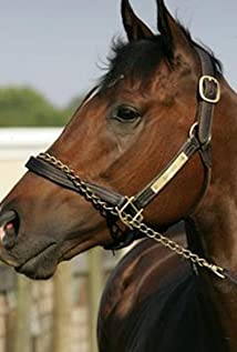 Barbaro Profile Picture